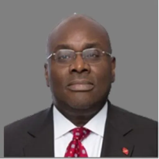 Portrait of Femi Olaloku