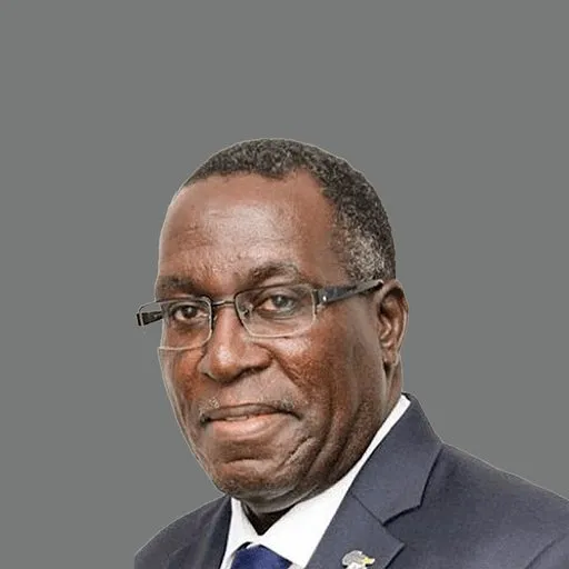 Portrait of Rotimi Okpaise